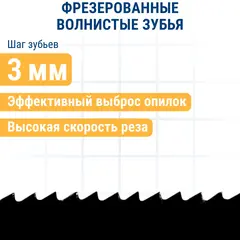 Пилки для лобзика по дереву, ДСП ПРАКТИКА тип T119BO 76х50 мм, криволинейный рез, HCS (2шт (034-496)