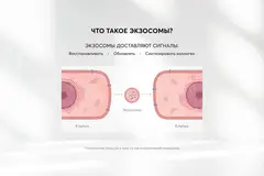 SKINJESTIQUE Восстанавливающая сыворотка с экзосомами и бакучиолом Exosome Regenerative Serum, 30 мл
