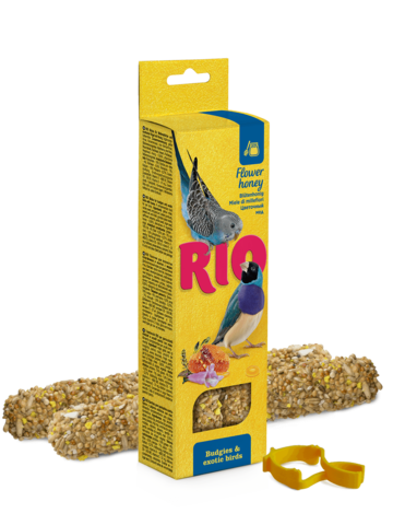 Rio
