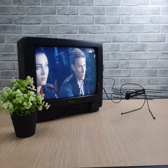КОМНАТНАЯ ЦИФРОВАЯ НАПРАВЛЕННАЯ ТЕЛЕВИЗИОННАЯ АНТЕННА Триада-3108/antenna.ru, пассивная