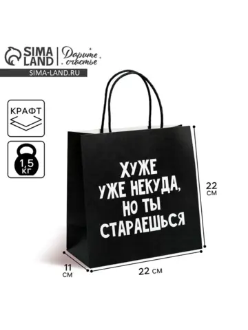 Пакет подарочный, упаковка, «Хуже уже некуда», 22×22×11 см
