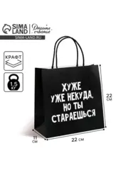 Пакет подарочный, упаковка, «Хуже уже некуда», 22×22×11 см