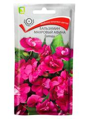 Бальзамин махровый Афина Паллада (Поиск)