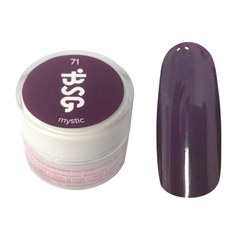 Цветной биогель Bio Stretch Gel Mystic №71 Цветной биогель Bio Stretch Gel Mystic №71