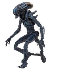 Фигурка NECA Aliens: Arachnoid Alien