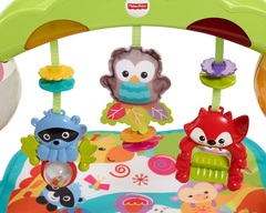 Fisher Price Большой игровой центр 