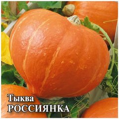 Семена Тыква Россиянка