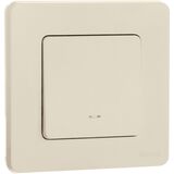Выключатель одноклавишный с подсветкой/индикацией - Legrand Inspiria - 10АХ 250В безвинтовые зажимы - слоновая кость — фото 7