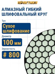 Круг алмазный гибкий шлифовальный ПРАКТИКА 100 мм для сухого шлифования, P 800 (925-587)
