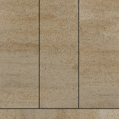 Степняк