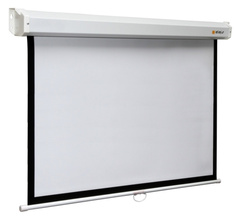 Экран Digis Space DSSM-4309