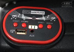BMW F444FF с дистанционным управлением