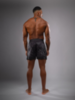 Шорты Venum MMA Rapid Black/Storm Grey Logo