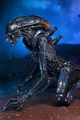 Фигурка NECA Aliens: Arachnoid Alien