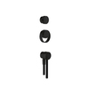 Gessi Outdoor 63214#299 Набор для душевой стойки 63207: ручка смесителя, ручка переключателя, ручной душ и шланг 1500 мм., цвет Black XL