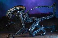 Фигурка NECA Aliens: Arachnoid Alien