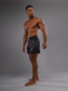 Шорты Venum MMA Rapid Black/Storm Grey Logo