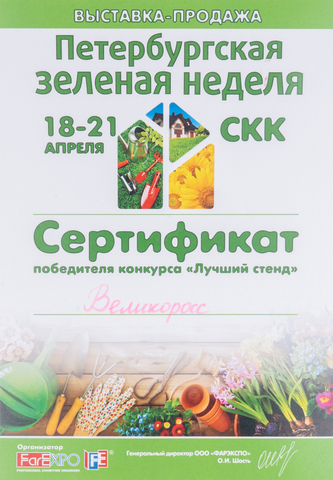 Сертификаты