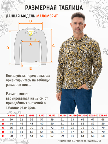 Поло с длинным рукавом «Чемпион!» мужское