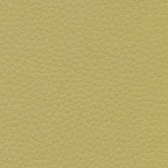 Искусственная кожа Alba dollaro 583 (Альба долларо 583)