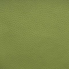 Искусственная кожа Aurora (Аурора) 11