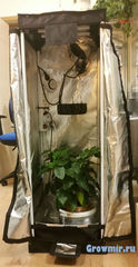 Гроутент GL 40 GrowLab Размер 40x40x120