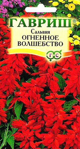 Семена Сальвия (Шалфей сверкающий) Огненное волшебство, Одн