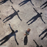 MUSE: Absolution (Виниловая пластинка)