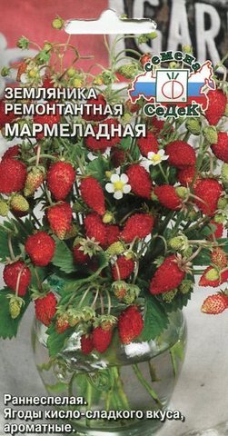 Семена Земляника Мармеладная
