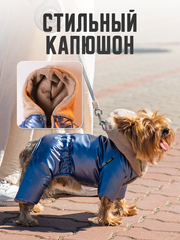 Royal Dog зимний костюм Мажор S/M