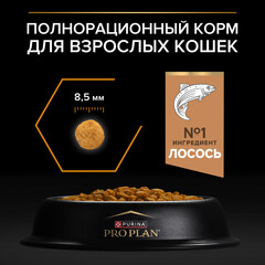 Pro Plan сухой корм для взрослых кошек для шерсти (лосось) 400 г