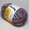 Пряжа 4-fadig Color Schachenmayr Regia