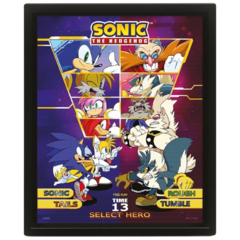 Постер 3D Sonic the Hedgehog Select Your Fighter Соник
