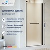 RGW 020810307-24c Душевая дверь 70*195 RGW PA-103-B Чёрный/Матовое/6 мм (Хим)