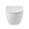 Cezares CZR-3806-53-TH-TOR/SC Унитаз подвесной безободковый с сиденьем, цвет: белый
