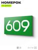 Номер на дверь 609, табличка на дверь для офиса, квартиры, кабинета, аудитории, склада, зеленая 120х70 мм, Айдентика Технолоджи