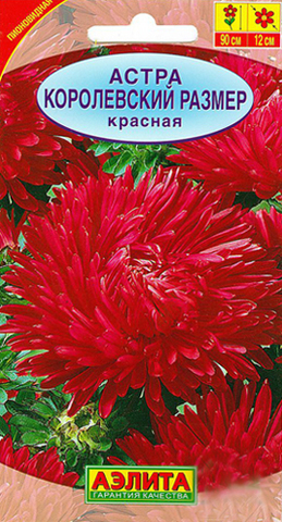 Семена Астра Королевский размер красная, Одн