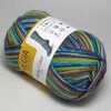Пряжа 4-fadig Color Schachenmayr Regia