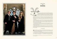 Harry Potter: Page to Screen. (Updated Edition)