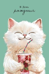 Открытка В День Рождения (котик), 12*18 см, 1 шт