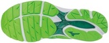 Кроссовки беговые Mizuno Wave Rider 21 мужские