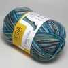 Пряжа 4-fadig Color Schachenmayr Regia