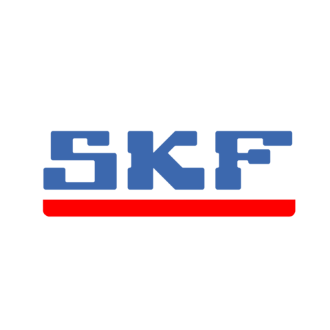 SKF LGWM 1