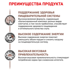 Royal Canin Gastro Intestinal GI32 корм для кошек при лечении ЖКТ 400г