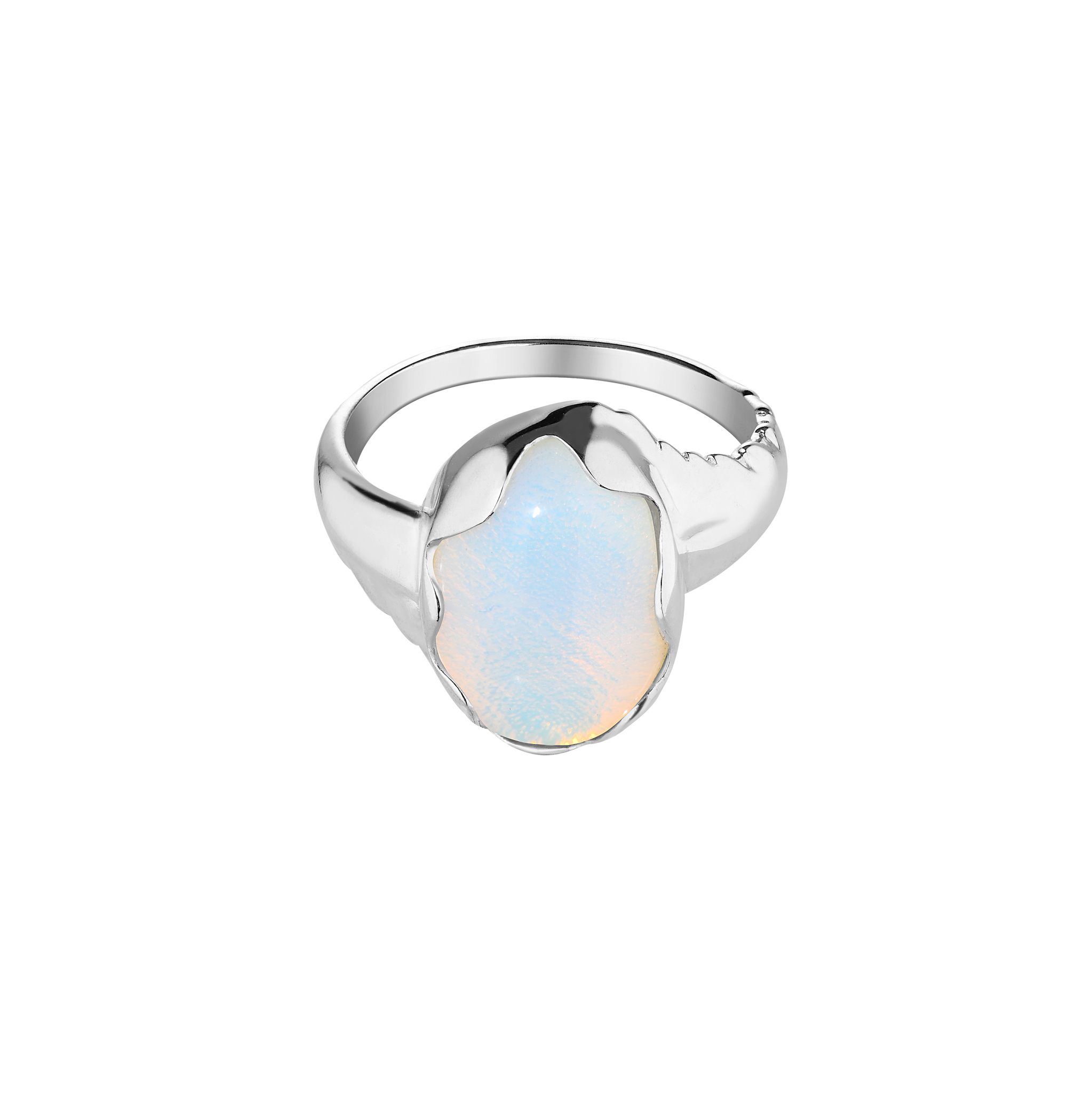 The Last of us