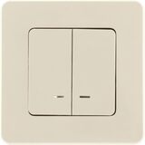 Выключатель двухклавишный с подсветкой/индикацией - Legrand Inspiria - 10АХ 250В безвинтовые зажимы - слоновая кость — фото 7