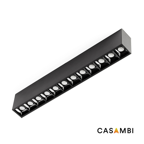 Фото: Светильник Neso Point 12 3000K 34° черный CASAMBI - основной вид