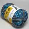 Пряжа 4-fadig Color Schachenmayr Regia