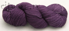 808 / violeta africana - узамбарская фиалка