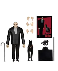Фигурка McFarlane Toys DC: Bruce Wayne & Ace (Batman Beyond)